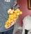 Extra Large Yellow Alabaster Grapes For Sale - Image 12 of 12