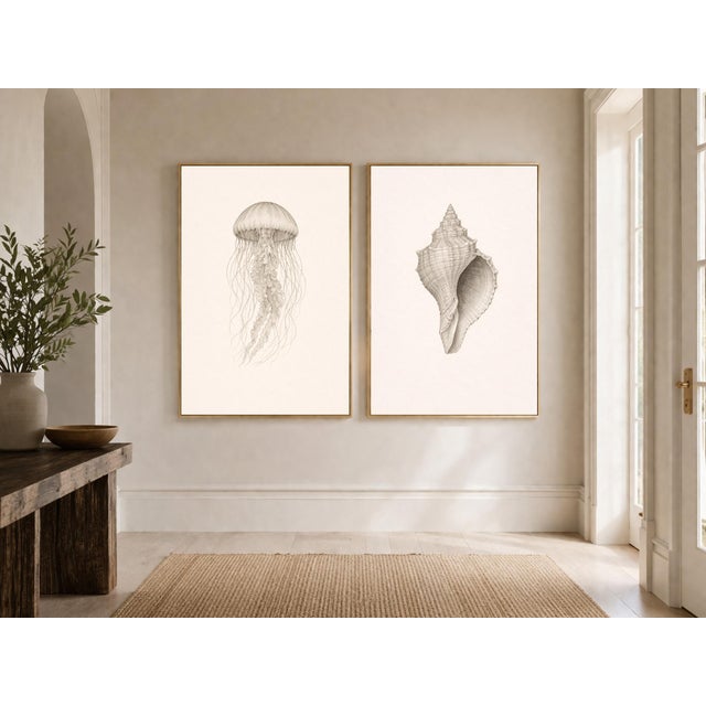 Not Yet Made - Made To Order Coastal Sea Life Study Set, Minimal Botanical & Shell Art Prints, 24" × 36" (Set of 2) For Sale - Image 5 of 8