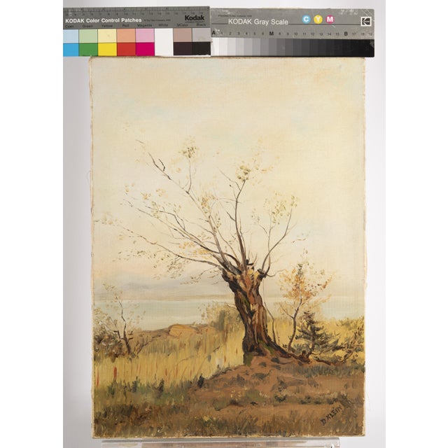 D. Klein, Solitary Tree by the Lakeside in Autumn Field, Oil Painting For Sale - Image 15 of 16