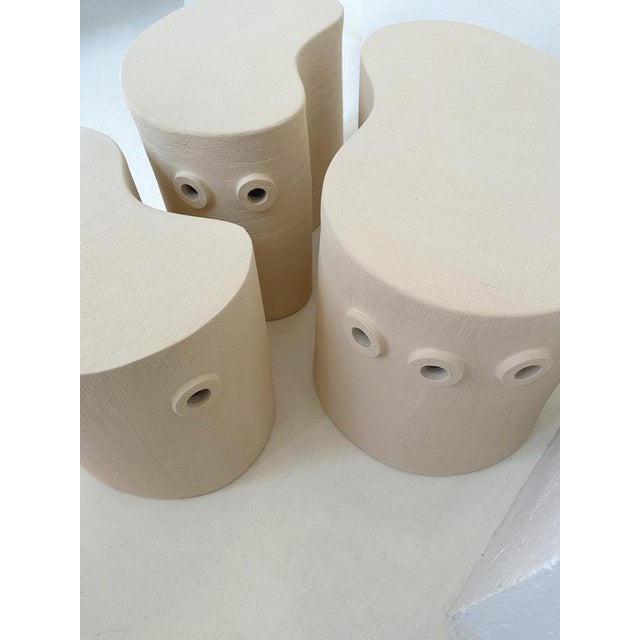 Not Yet Made - Made To Order Planter Coffee Table by Olivia Cognet For Sale - Image 5 of 7