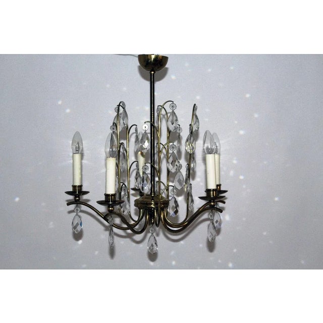 Crystal Chandelier, 1950s For Sale - Image 12 of 13
