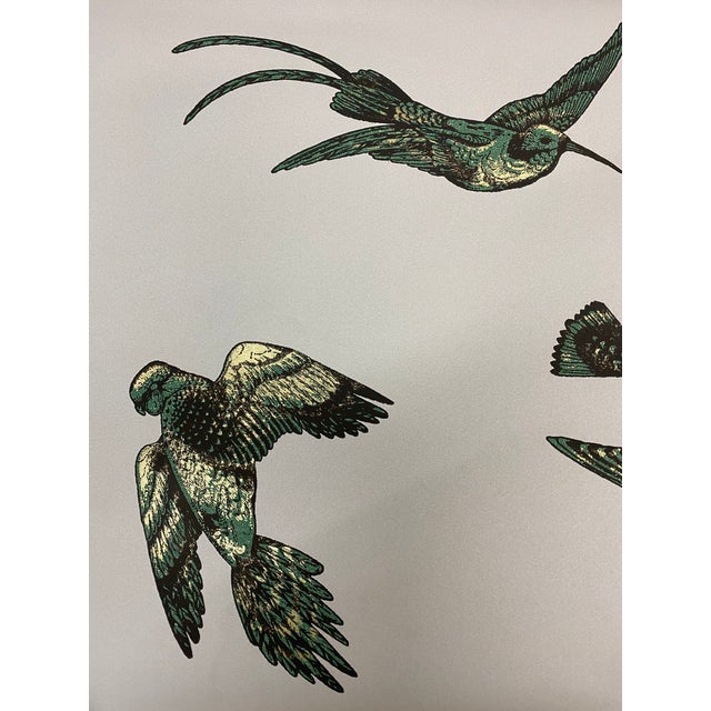Cole and Son Tropical Birds Wallpaper Chairish