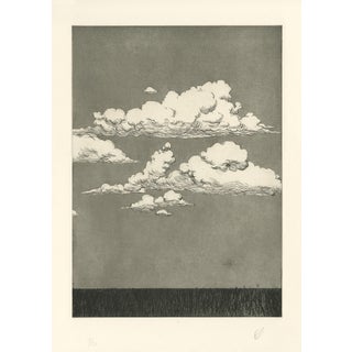 Pascal Rabaté, Paysage dans le Désordre, 2018, Etching For Sale