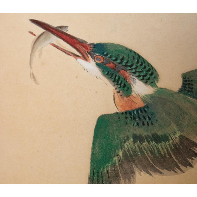 Early 20th Century "Kingfisher" by Nankei, Taisho Era Japanese Scroll Painting For Sale - Image 5 of 14