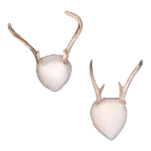 Set of 2 Late 20th Century Trophy Deer Antler Mounts