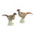Chelsea House Pheasants - A Pair For Sale
