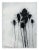 Robert Baribeau "Multiple Stems in Black", Painting For Sale - Image 4 of 4
