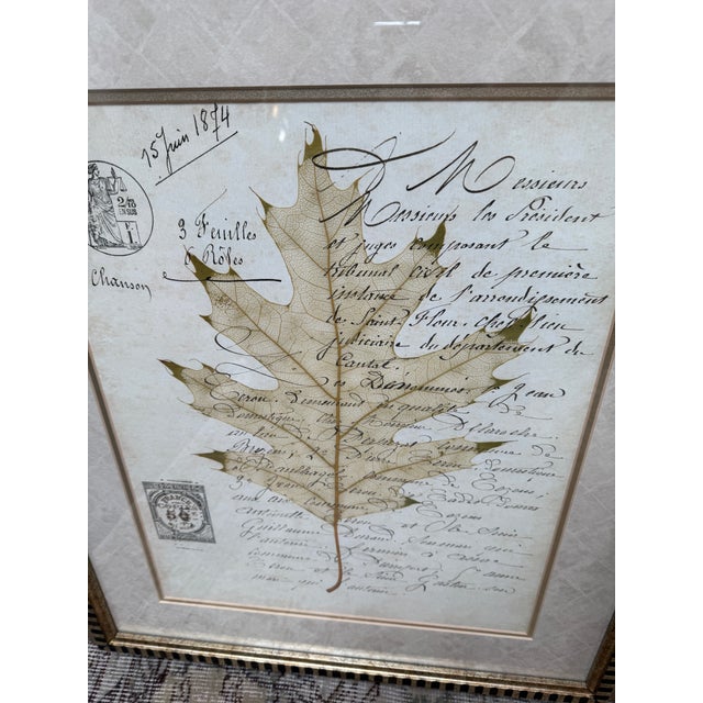 French Botanical Collection Plates, Set of Two For Sale - Image 3 of 12