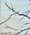American Bald Eagle Framed Animal Art, Oil on Canvas Lynn Chase Signed 1980 For Sale - Image 4 of 15