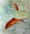 Set of 6 Antique 1800's Hand Painted Limoges Tressemanes & Vogt Porcelain Fish Plates For Sale - Image 18 of 18