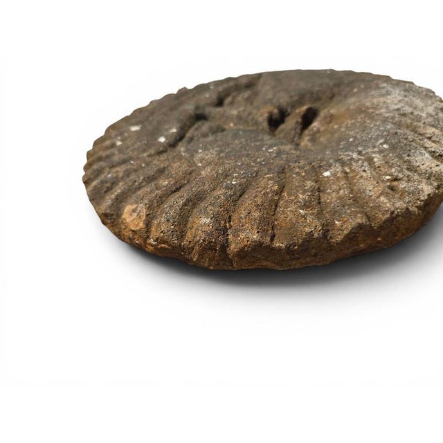Stone Sandstone Sun Mask Fountain Spout Sculpture, 1890 For Sale - Image 7 of 12