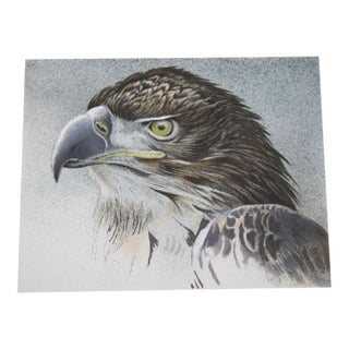 Late 20th Century Vigilance Eagle Bust Signed Limited Edition Original Lithograph by Robert Bateman For Sale