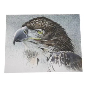 Late 20th Century Vigilance Eagle Bust Signed Limited Edition Original Lithograph by Robert Bateman