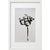Contemporary Set of 6 - One-of-a-Kind Organic Modern Framed Botanic Floral Oil Paintings by Diane Grant - Secession Style / Herbarium / Floral / Earth Tones For Sale - Image 3 of 7