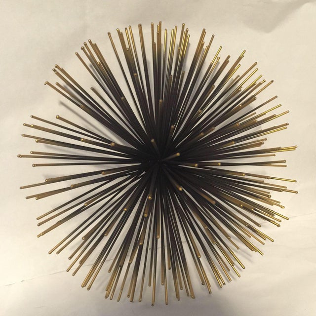 10" Sea Urchins Wall Decor Set of 3 Chairish