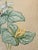 Barbara Russell Wildflower Needlepoint Pillow For Sale - Image 4 of 10