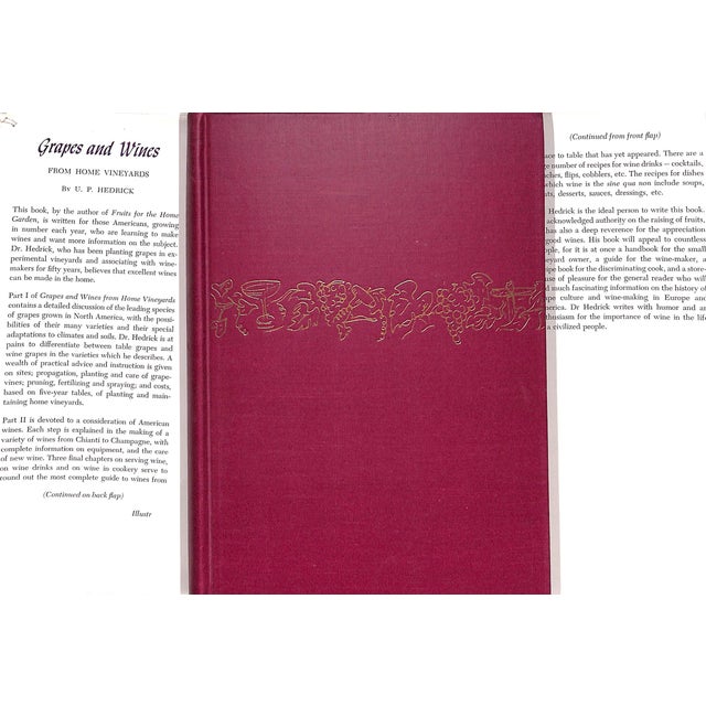 Traditional "Grapes and Vines: From Home Vineyards" 1945 Hedrick, U. P. For Sale - Image 3 of 9