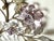 Italian Wall Sconces with Amethyst and Smoky Glass Blossoms, 1950s, Set of 2 For Sale - Image 18 of 18