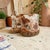 Experience the perfect blend of artistry and functionality with this Signed Artisan Wheel Thrown Rustic Textured Stoneware...