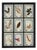 20th Century Italian Large Oak Frame with Pressed Flowers and Herbs For Sale