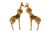 2020s Gold Brass Giraffe Door Handles - A Pair For Sale - Image 5 of 8