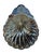 Late 20th Century Vintage Silverplate Scallop Shell Dish With Engraved Crest For Sale - Image 5 of 5