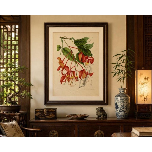 Red Berthe Hoola van Nooten, Pride of Burma, 1880, Chromolithograph For Sale - Image 8 of 9