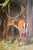 Ewind, Animal Composition, 1890s, Oil Painting on Masonite, Framed For Sale - Image 4 of 13