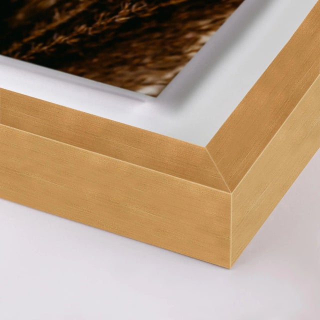 Untitled by Annie Spratt Contemporary Photograph in Gold Frame Overall Size: 31x40 Frame Color: Gold