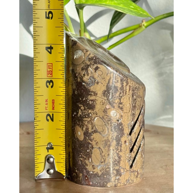 Brown Mid 20th Century Polished Ammonite Fossil Card Holder For Sale - Image 8 of 11