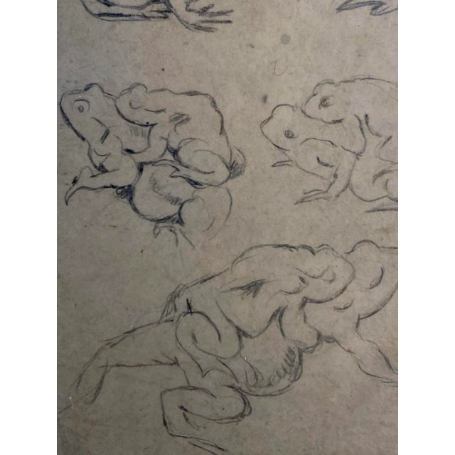 Hans Thoma, Study Frogs, 1890s, Pencil & Paper For Sale - Image 4 of 8