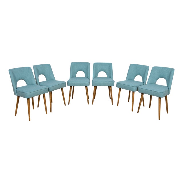 Shell Chairs from Bydgoszcz Furniture Factory, Poland, 1960s, Set of 6 For Sale