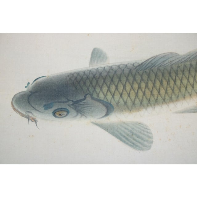 Dove Gray "Leaping Carp", Early Showa Era Japanese Silk Scroll Painting For Sale - Image 8 of 18