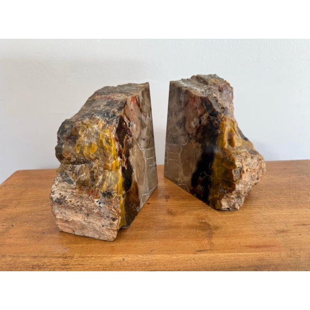 Contemporary Large Petrified Wood Stone Bookends For Sale - Image 3 of 6