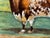 Victorian British Shorthorn Bull Pastoral Oil Painting in Gilt Frame c.1890 in the Manner of William Ward For Sale - Image 6 of 18