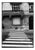 Paul Cooklin, Zebra Crossing, Edition of 50 For Sale