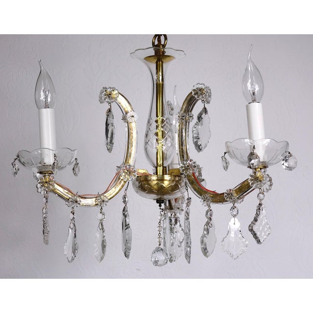 Antique Maria Theresia Chandelier from Palwa, 1950s For Sale - Image 9 of 13
