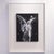 2020s Tone Signed Original Artwork - Anthony Livet (With Coa) For Sale - Image 5 of 10
