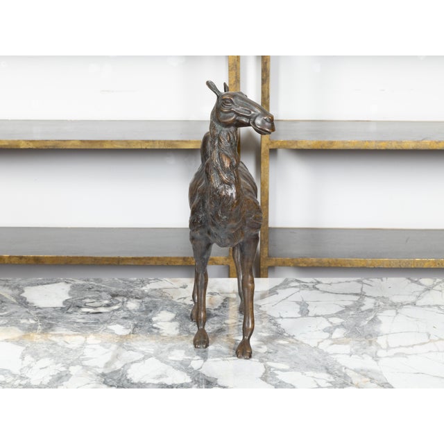 Early 20th Century French Turn of the Century Cast Bronze Camel Statuette with Dark Patina, 1900s For Sale - Image 5 of 10
