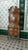 Dresden-Style Cabinet in Walnut, 1890 For Sale - Image 14 of 17