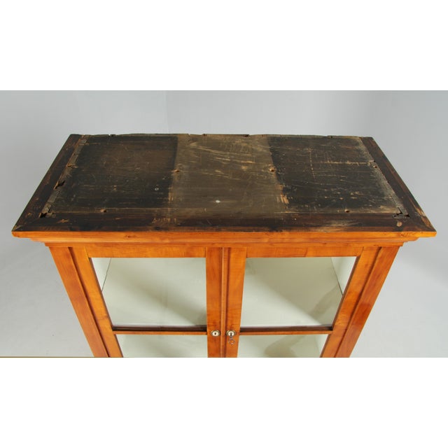 German Biedermeier Display Bookcase, 1830s For Sale - Image 12 of 15