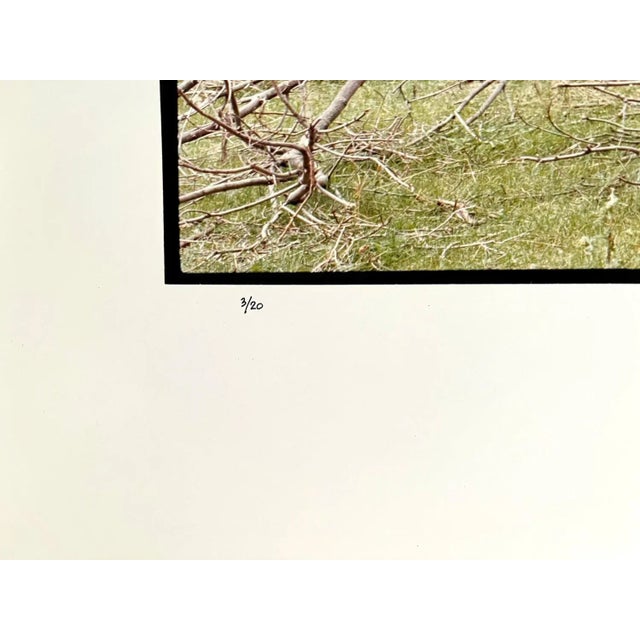 Maxwell Mackenzie Farm Summer Landscape, Large Panoramic Vintage Color Photograph Signed Photo 1993 For Sale - Image 4 of 6