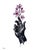Divine Touch by Tanner Valant | Color Pencil on Paper Hand holding pink orchids For Sale