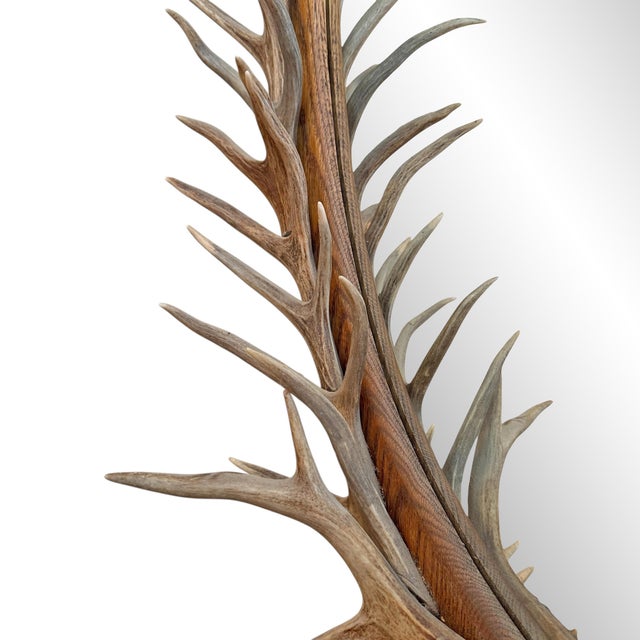 Whitetail Deer Antler Framed Mirror For Sale - Image 10 of 11