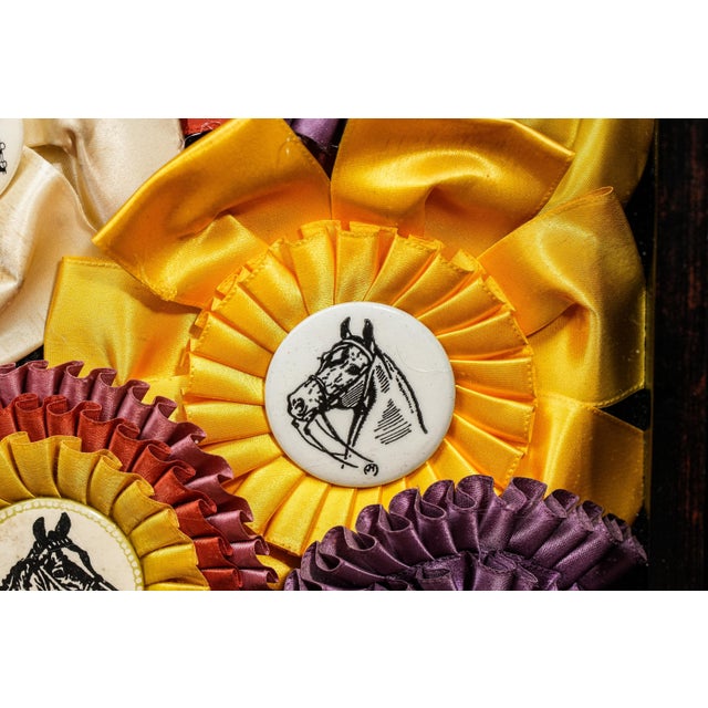 Wood Unique Horse Show Ribbon Trophy Collage Vintage Country Home Wall Decor For Sale - Image 7 of 9