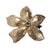 Golden Orchid For Sale In Chicago - Image 6 of 11