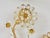 Large Gilt Brass & Crystals Flower Wall Light from Palwa, 1970s For Sale - Image 6 of 15