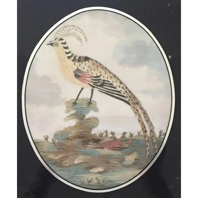 Antique 18th Century English George III Needlework of an Exotic Bird in Original Gilt Wood Frame For Sale In New York - Image 6 of 11