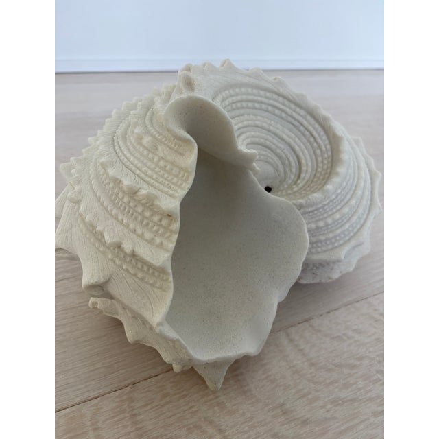 Mid-Century Modern Large Vintage Beach Seashell Sculpture, White For Sale - Image 3 of 6