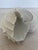 Mid-Century Modern Large Vintage Beach Seashell Sculpture, White For Sale - Image 3 of 6